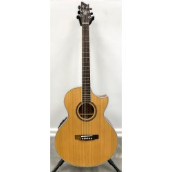 (BRUGT) Cort NDX Bariton NS